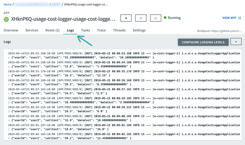 Data Flow Runtime Information