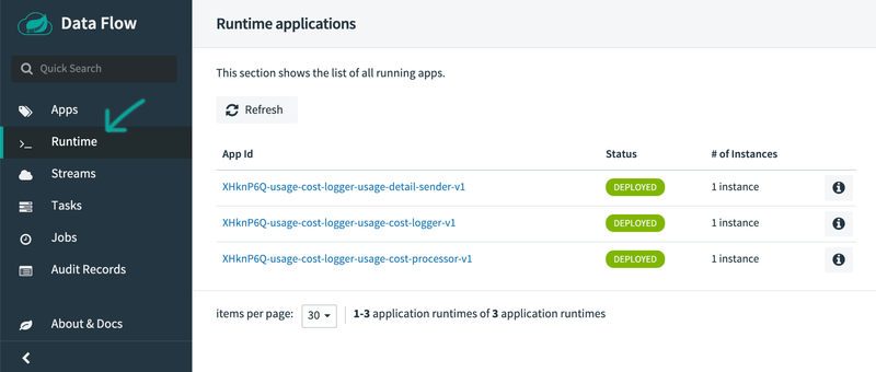 Data Flow Runtime Information